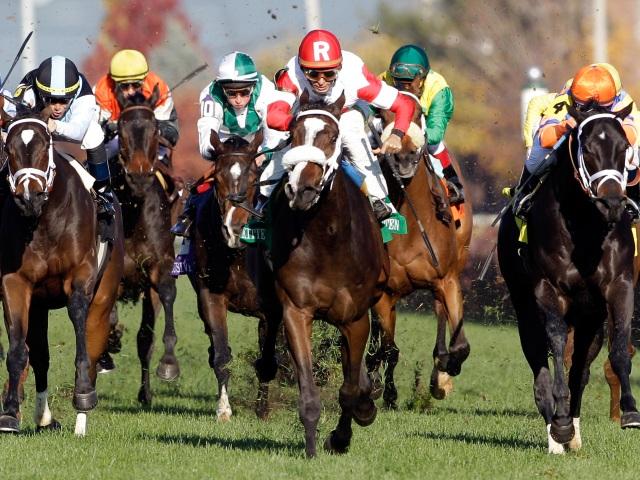 Timeform bring you three US selections on Wednesday
